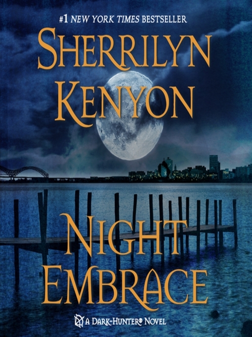Cover image for Night Embrace